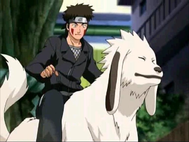 Naruto: Por que Akamaru não fala?